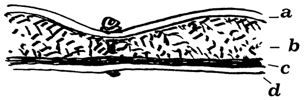 Стеганый поддоспешник, Гамбензон, Стега