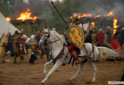 Русский витязь на скаку