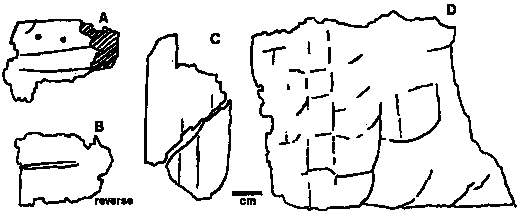 ламелляр копанина