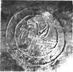 изображение орла