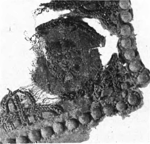 Вишивка на кафтане из чингульского кургана