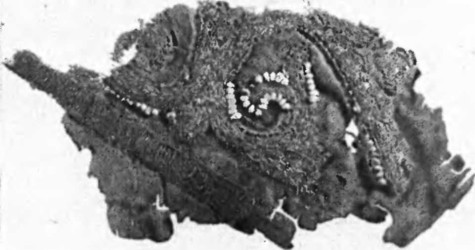 Вишивка на кафтане из чингульского кургана