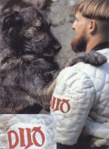 гамбензон из Дижона