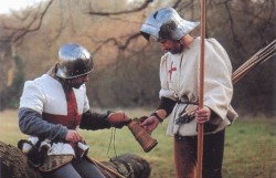 наемники-пикенеры