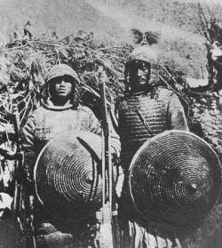 прутяные щиты