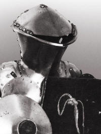 турнирный жабья голова