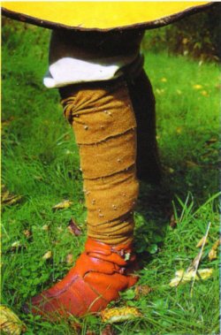 башмаки викингов