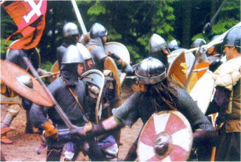 Междуусобицы викингов