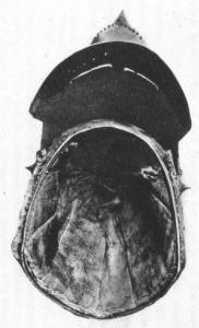 подшлемник под бацинет