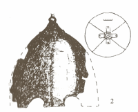 шлем из могильника Кривуша 4