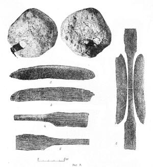 новгородский лук