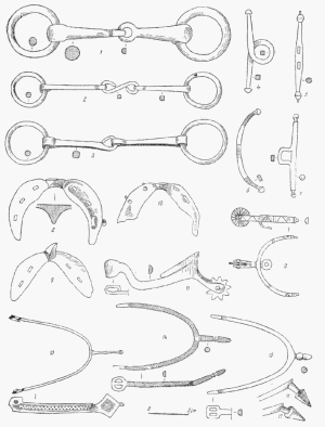 удила, псалии, подковы из Новгорода