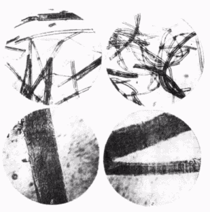 ткани Новгорода