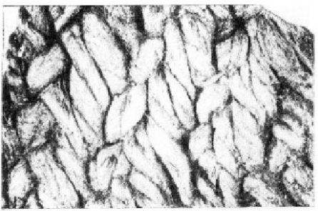 вязанная иглой ткань