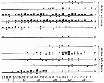 местные и импортные ткани Новгорода