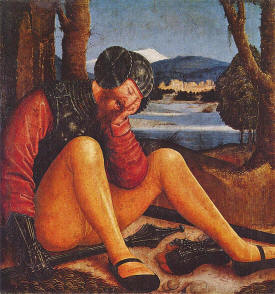 черепник с дисковидными наушами