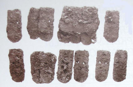 панцирні пластини 