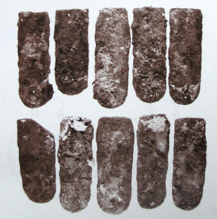 панцирні пластини