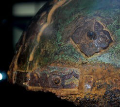 расчищенные детали шема Черная Могила