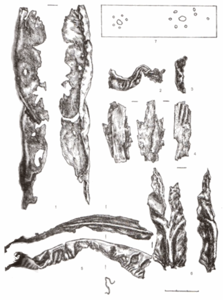 фрагменти середьньовічного одягу