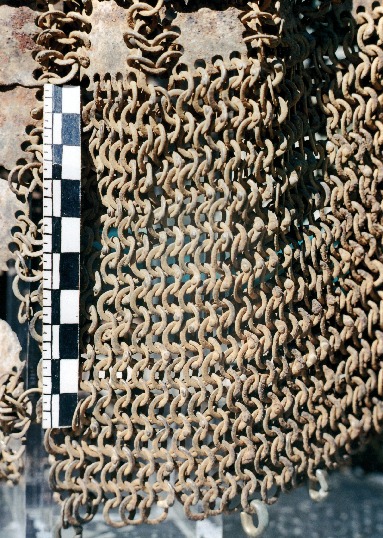 кольчато-пластинчатая бармица