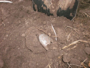 находка наконечника ножен