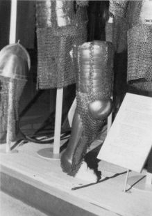 кольчато-пластинчатая защита ног