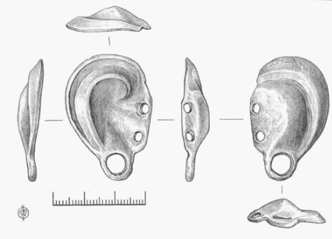 ухо из Рязанской обл.