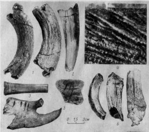 обработка кости