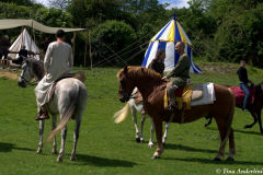 реконструкция первой половины 13 века