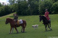 реконструкция первой половины 13 века