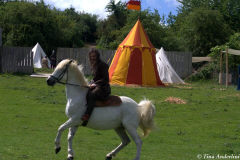 реконструкция первой половины 13 века