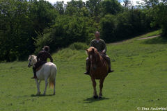 реконструкция первой половины 13 века