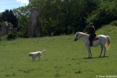 реконструкция первой половины 13 века