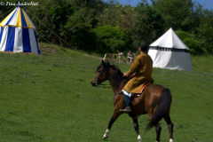 рыцарь в гамбезоне