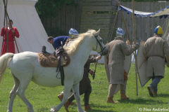 лошадь седло