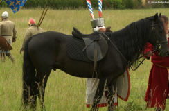 реконструкция западной европы начала 13 века