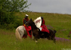 поединок рыцарей 13 века