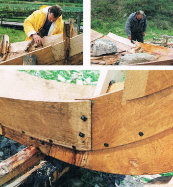 покрытие дерева