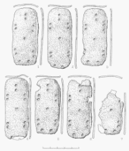 Панцирные пластины из памятника Кудыргэ в Горном Алтае.