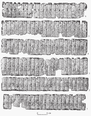 Рис. 1. Татарские могилки, могила №4, скелет-1. Панцирные пластины наспинника, собранные в полосы. Железо, кожа