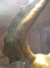 Топхельм Пранкхов, сер. 14 века