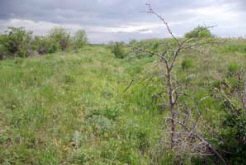 Заплывший ров и вал – линия обороны со стороны степи. Здесь были ворота.