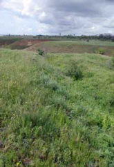 Этот же вал с другой стороны. Чуть дальше виден поселок Саркел.