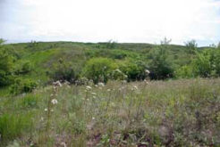 Городище состоит из валов, зарастающих травами.