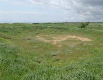 Следы археологического раскопа в центре городища.