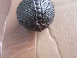 Кистень биметалический тип IIa по А. Кирпичникову 