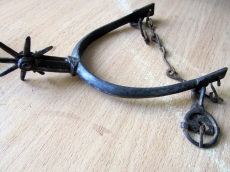 Шпора с вращающейся восьмиконечной звездочкой