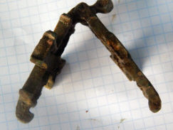 Раснрытые створки