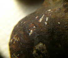 находка древнерусского кистеня ташуированного серебром